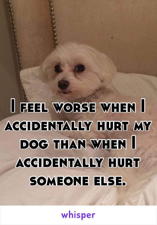 I feel worse when I accidentally hurt my dog than when I accidentally hurt someone else.