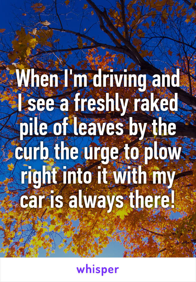 When I'm driving and I see a freshly raked pile of leaves by the curb the urge to plow right into it with my car is always there!