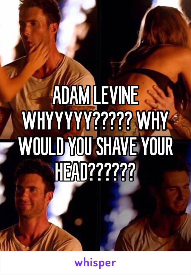 ADAM LEVINE WHYYYYY????? WHY WOULD YOU SHAVE YOUR HEAD??????