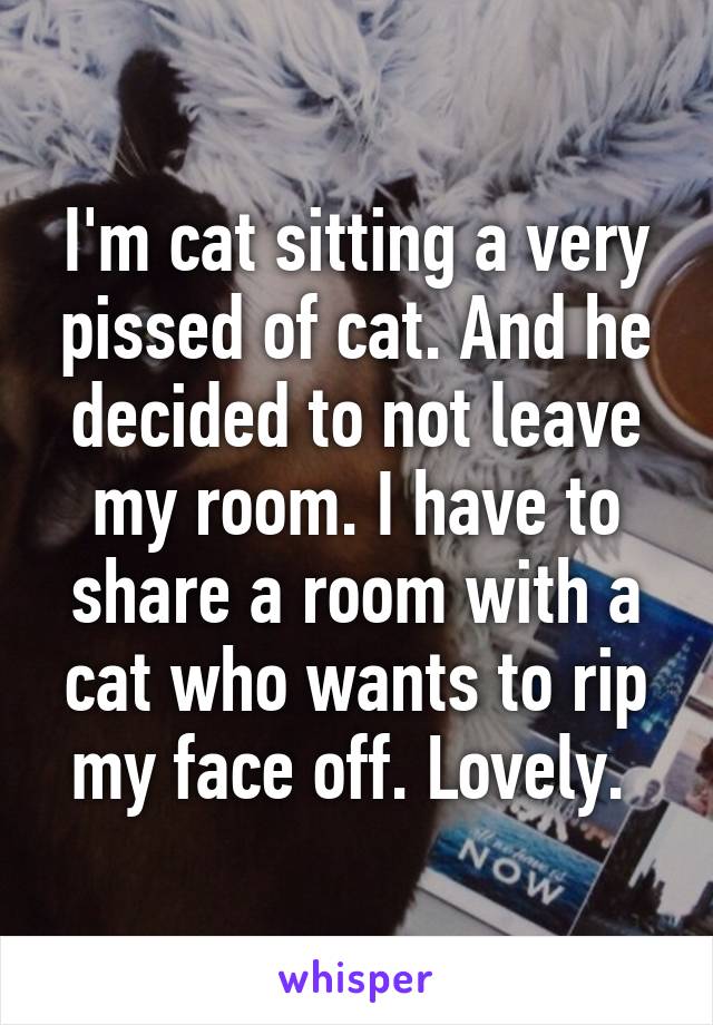 I'm cat sitting a very pissed of cat. And he decided to not leave my room. I have to share a room with a cat who wants to rip my face off. Lovely. 