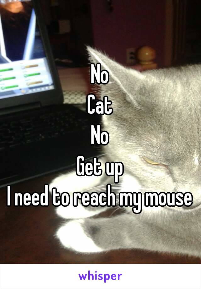 No
Cat
No
Get up
I need to reach my mouse