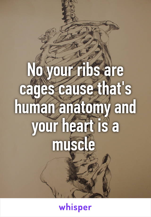 No your ribs are cages cause that's human anatomy and your heart is a muscle 