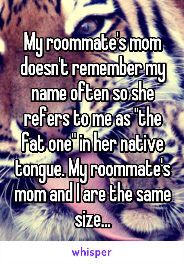 My roommate's mom doesn't remember my name often so she refers to me as "the fat one" in her native tongue. My roommate's mom and I are the same size...