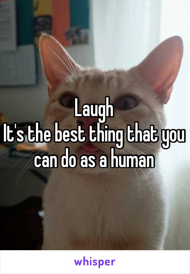 Laugh
It's the best thing that you can do as a human