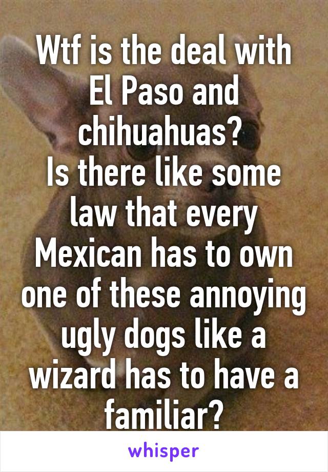 Wtf is the deal with El Paso and chihuahuas? 
Is there like some law that every Mexican has to own one of these annoying ugly dogs like a wizard has to have a familiar?