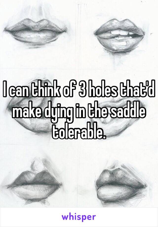 I can think of 3 holes that'd make dying in the saddle tolerable. 