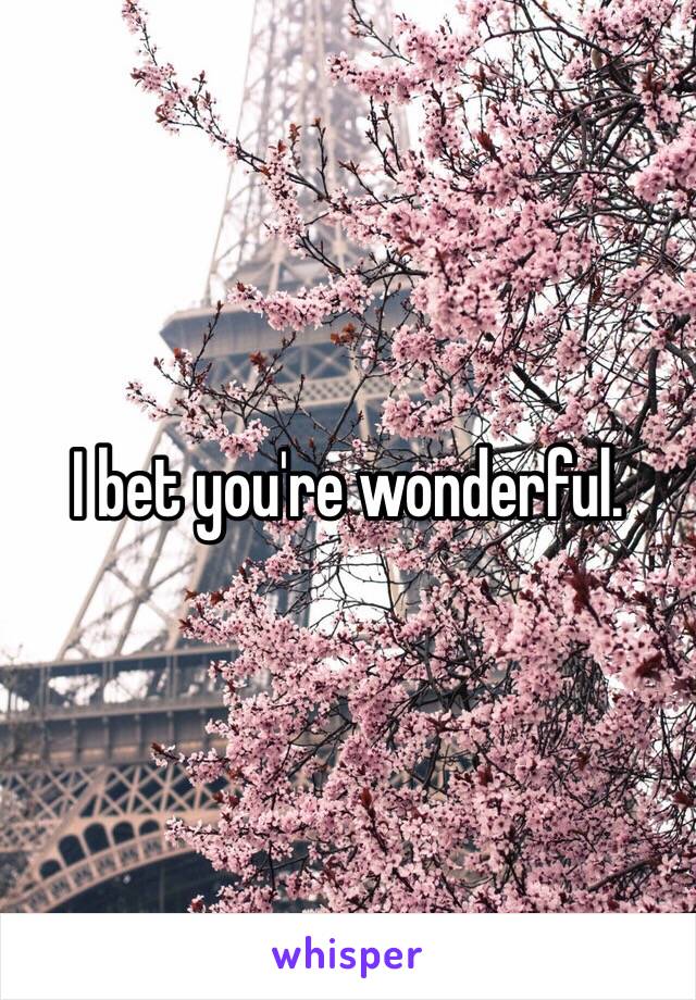 I bet you're wonderful.