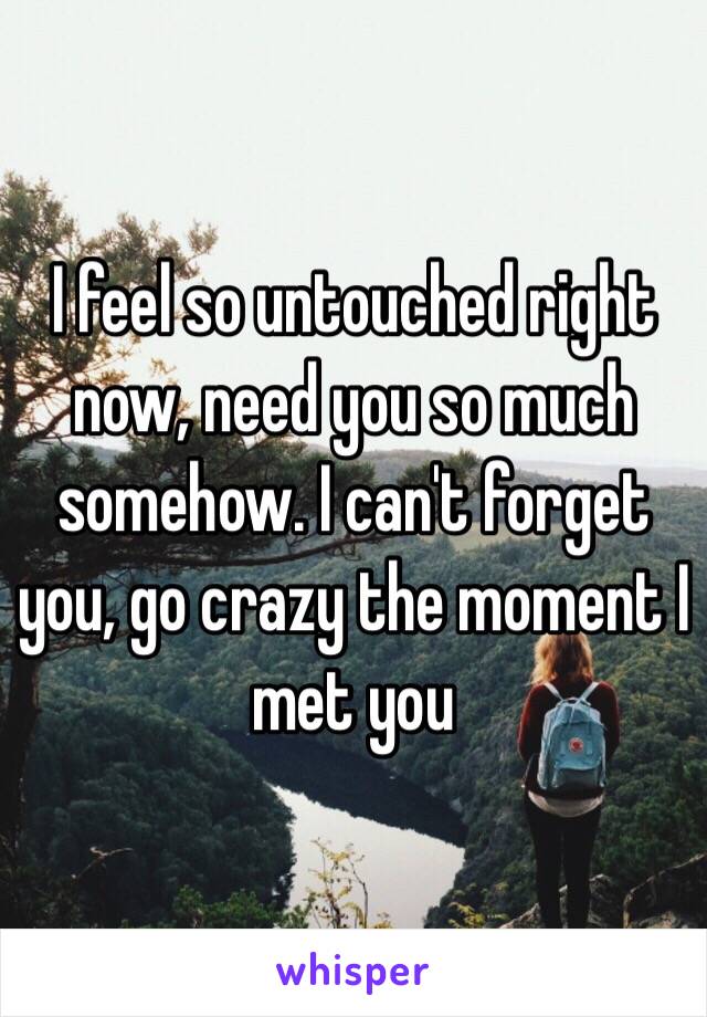 I feel so untouched right now, need you so much somehow. I can't forget you, go crazy the moment I met you 