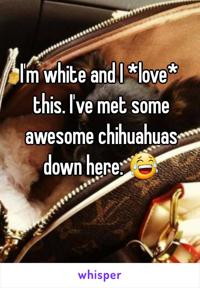 I'm white and I *love* this. I've met some awesome chihuahuas down here. 😂 