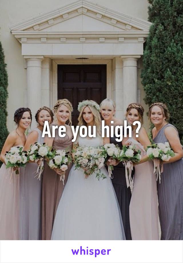 Are you high?