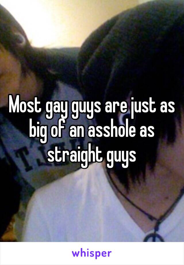 Most gay guys are just as big of an asshole as straight guys 