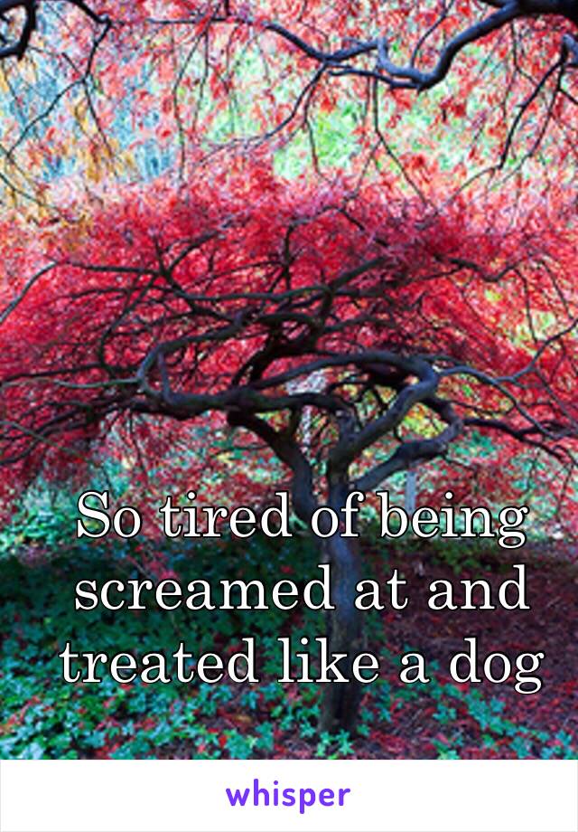 So tired of being screamed at and treated like a dog