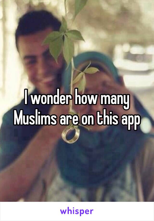 I wonder how many Muslims are on this app