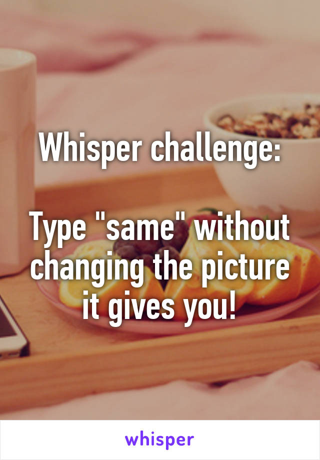 Whisper challenge:

Type "same" without changing the picture it gives you!