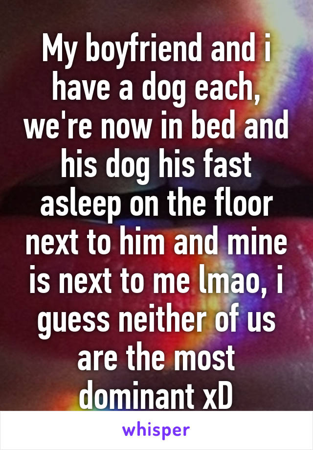 My boyfriend and i have a dog each, we're now in bed and his dog his fast asleep on the floor next to him and mine is next to me lmao, i guess neither of us are the most dominant xD