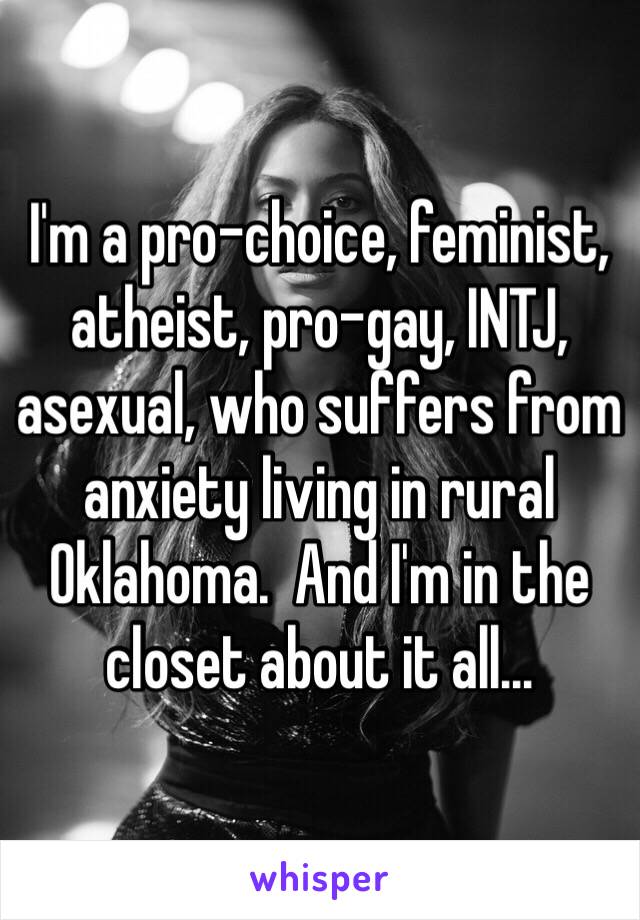 I'm a pro-choice, feminist, atheist, pro-gay, INTJ, asexual, who suffers from anxiety living in rural Oklahoma.  And I'm in the closet about it all...