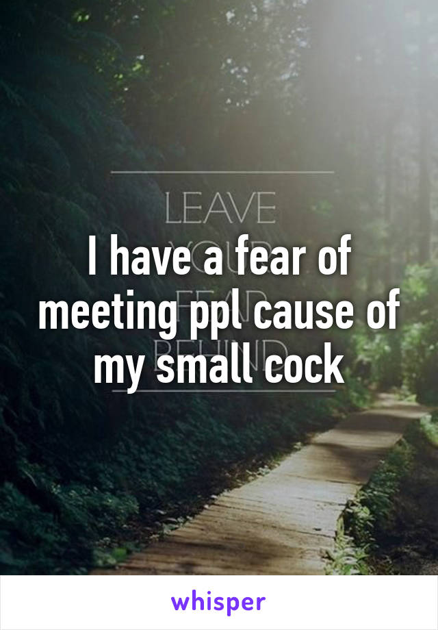 I have a fear of meeting ppl cause of my small cock