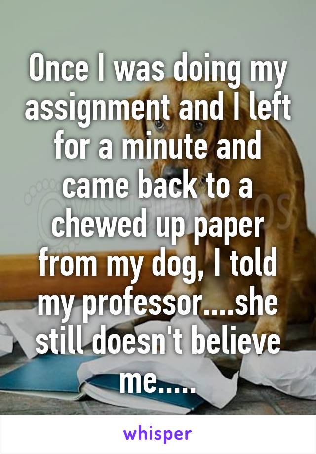 Once I was doing my assignment and I left for a minute and came back to a chewed up paper from my dog, I told my professor....she still doesn't believe me.....