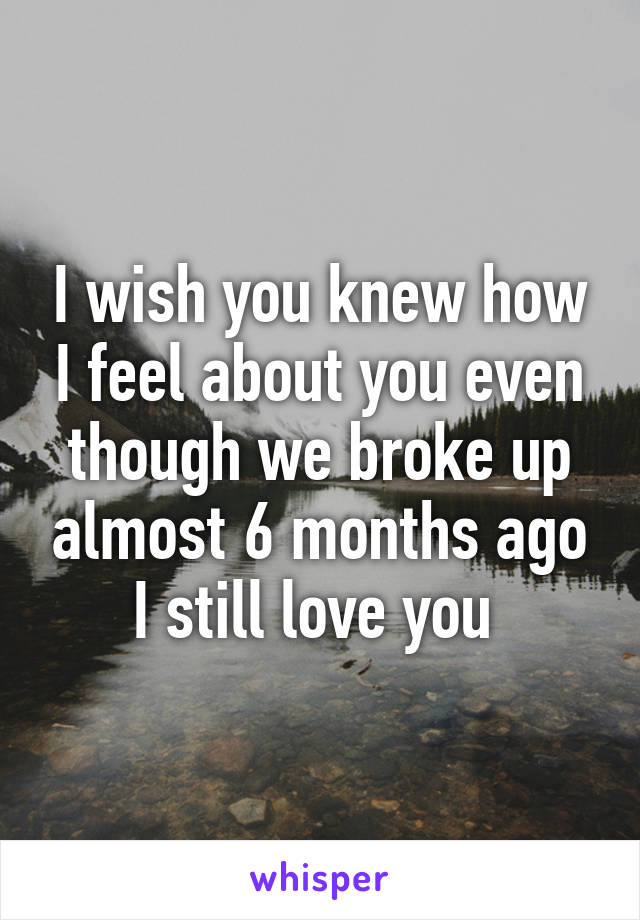 I wish you knew how I feel about you even though we broke up almost 6 months ago I still love you 