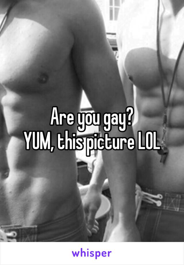 Are you gay? 
YUM, this picture LOL