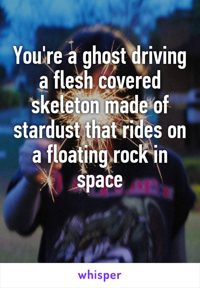 You're a ghost driving a flesh covered skeleton made of stardust that rides on a floating rock in space

