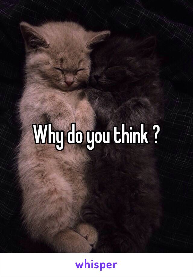 Why do you think ?