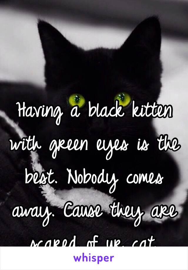 Having a black kitten with green eyes is the best. Nobody comes away. Cause they are scared of ur cat. 