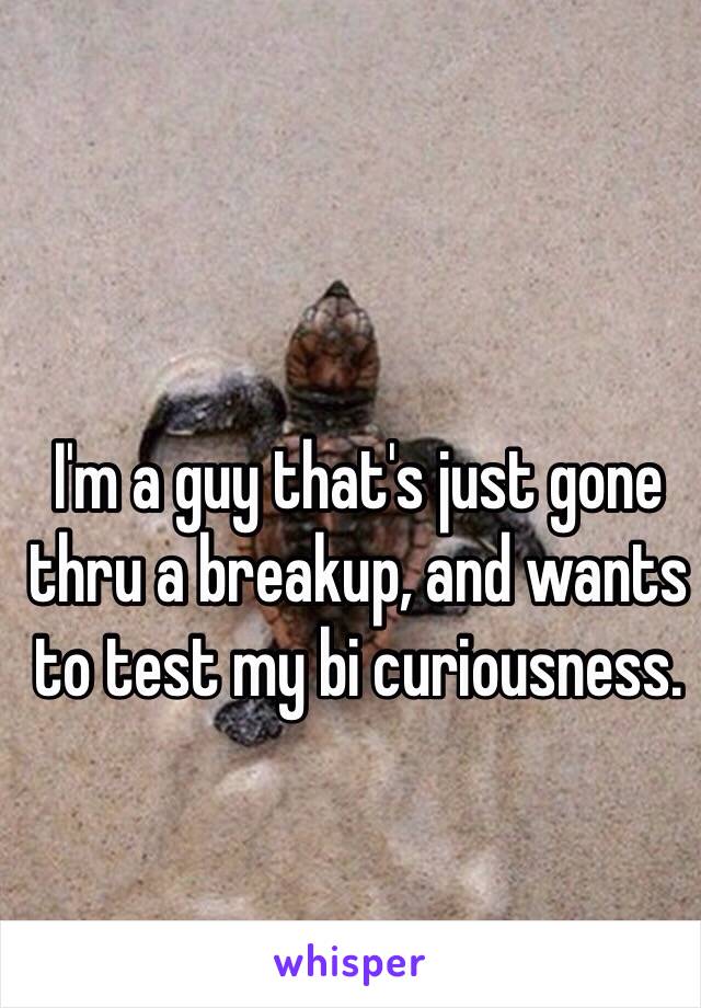 I'm a guy that's just gone thru a breakup, and wants to test my bi curiousness.