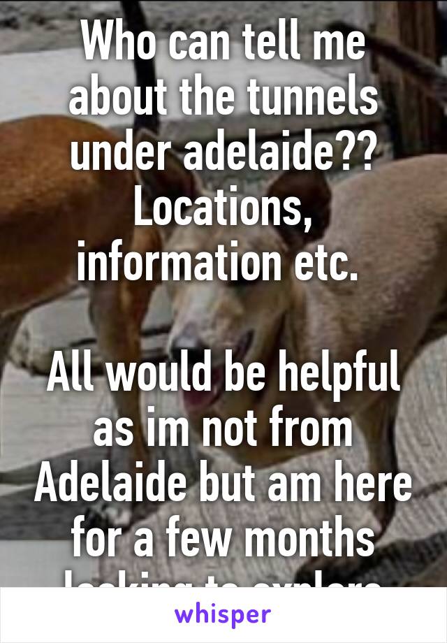 Who can tell me about the tunnels under adelaide?? Locations, information etc. 

All would be helpful as im not from Adelaide but am here for a few months looking to explore