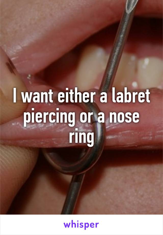 I want either a labret piercing or a nose ring