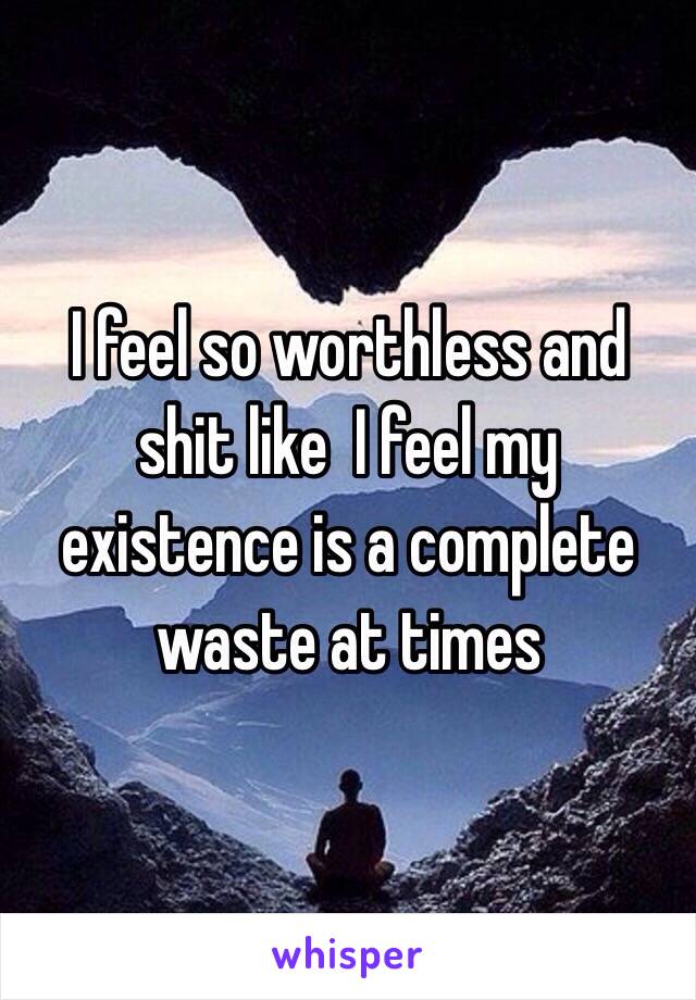 I feel so worthless and shit like  I feel my existence is a complete waste at times 