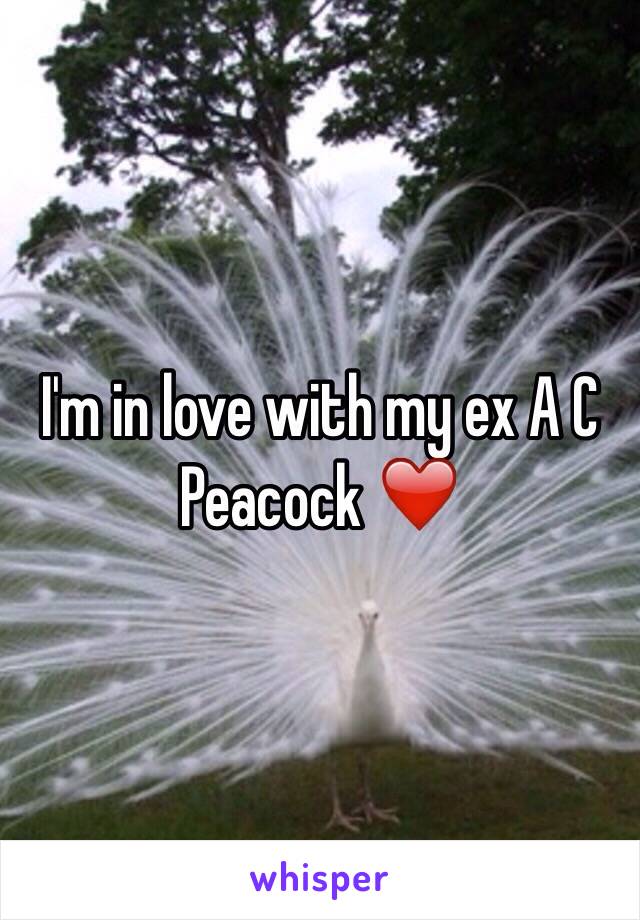 I'm in love with my ex A C Peacock ❤️