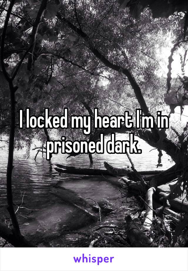 I locked my heart I'm in prisoned dark. 