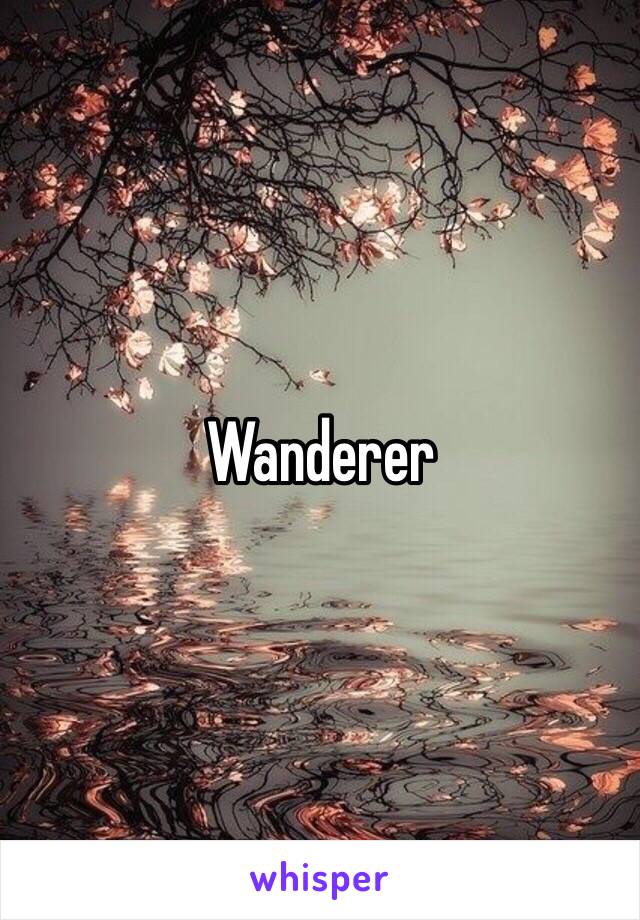 Wanderer 