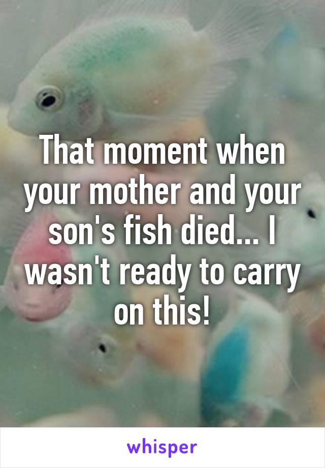 That moment when your mother and your son's fish died... I wasn't ready to carry on this!