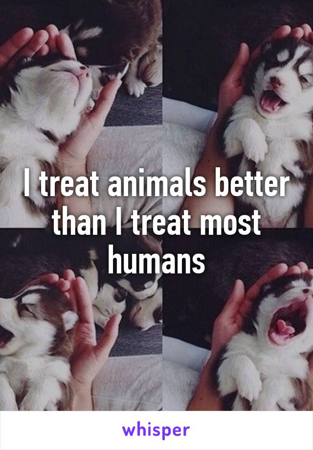 I treat animals better than I treat most humans