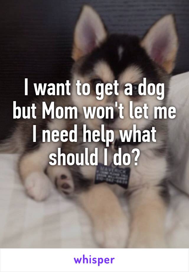 I want to get a dog but Mom won't let me I need help what should I do?
