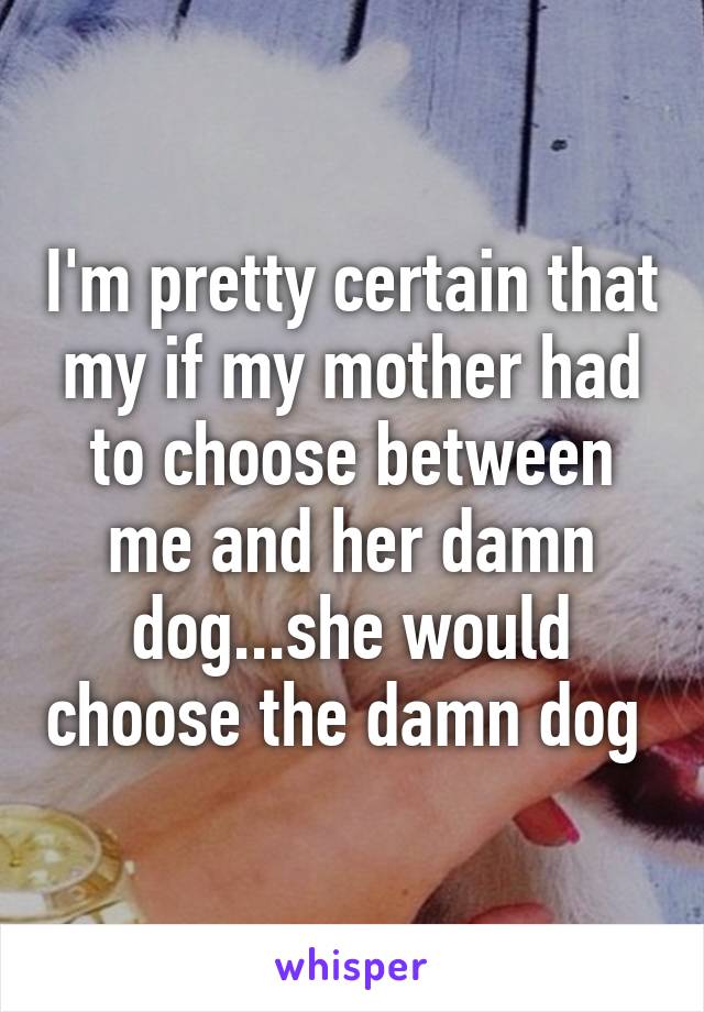 I'm pretty certain that my if my mother had to choose between me and her damn dog...she would choose the damn dog 