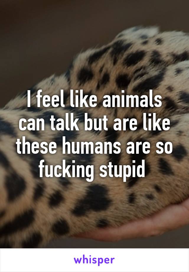 I feel like animals can talk but are like these humans are so fucking stupid 