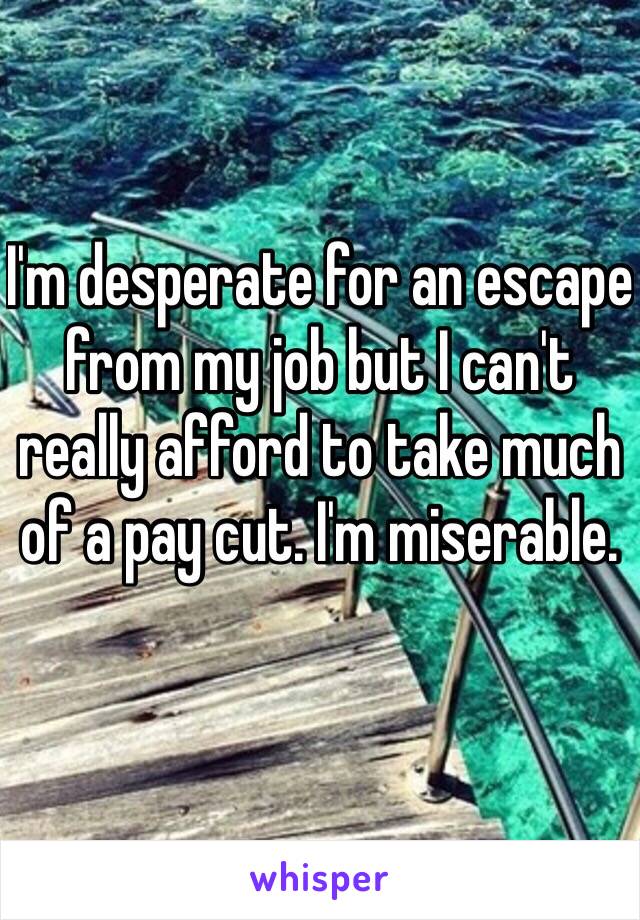 I'm desperate for an escape from my job but I can't really afford to take much of a pay cut. I'm miserable. 