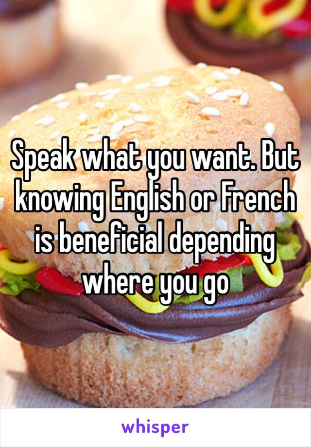 Speak what you want. But knowing English or French is beneficial depending where you go