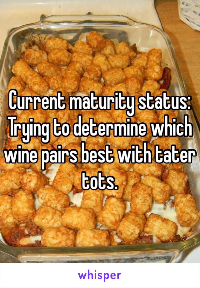 Current maturity status: Trying to determine which wine pairs best with tater tots.