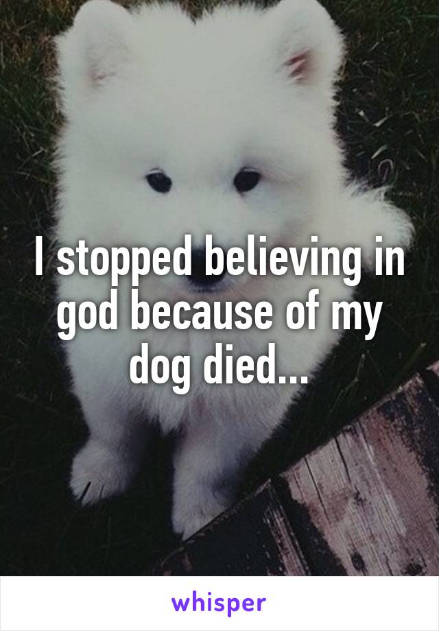 I stopped believing in god because of my dog died...