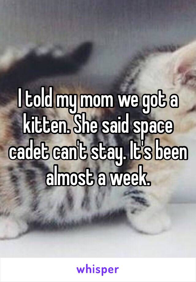 I told my mom we got a kitten. She said space cadet can't stay. It's been almost a week.