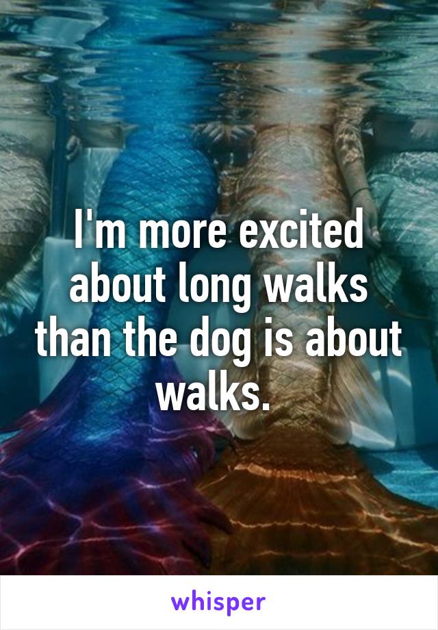 I'm more excited about long walks than the dog is about walks. 