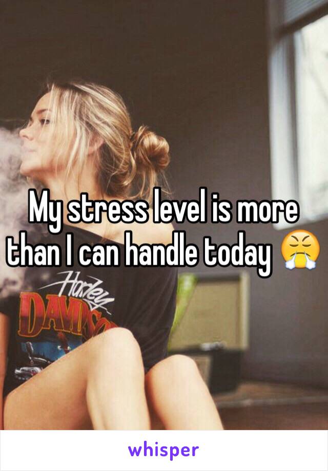 My stress level is more than I can handle today 😤