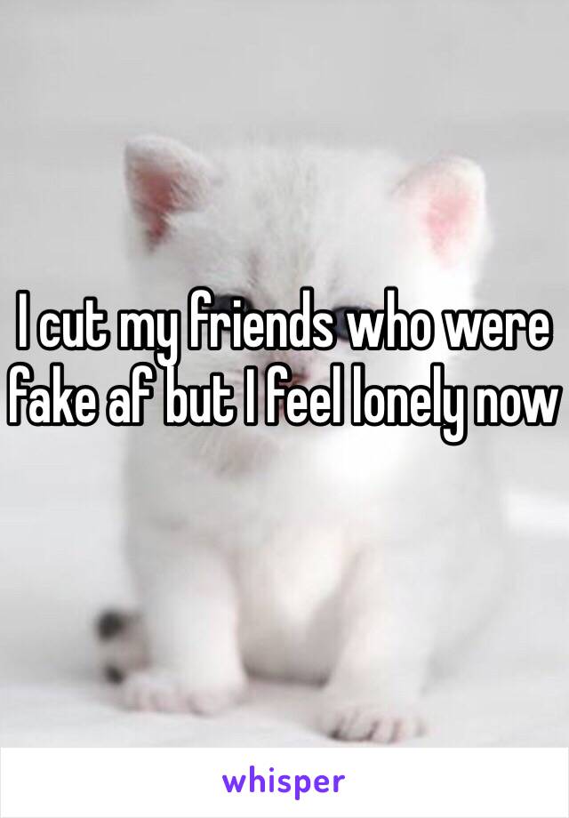 I cut my friends who were fake af but I feel lonely now