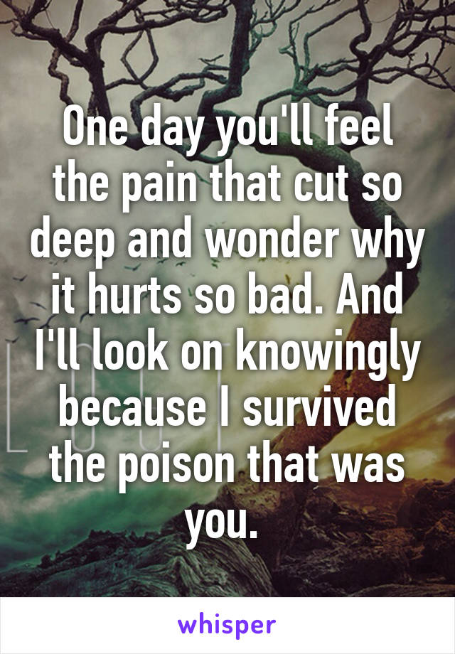 One day you'll feel the pain that cut so deep and wonder why it hurts so bad. And I'll look on knowingly because I survived the poison that was you. 