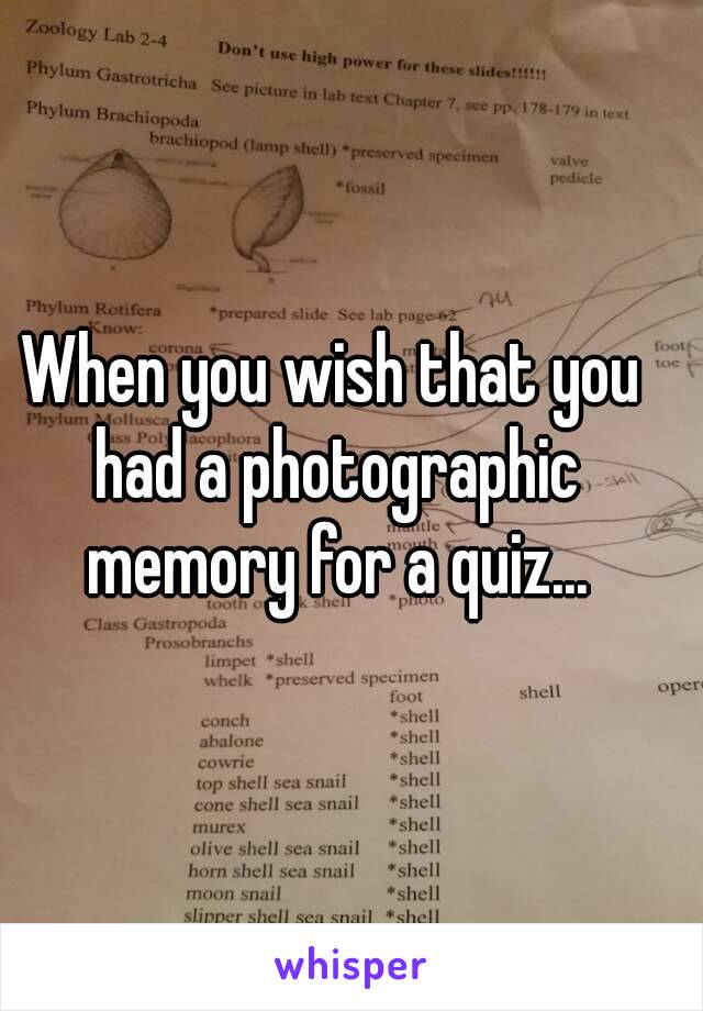 When you wish that you had a photographic memory for a quiz...
