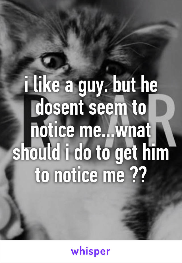 i like a guy. but he dosent seem to notice me...wnat should i do to get him to notice me ??